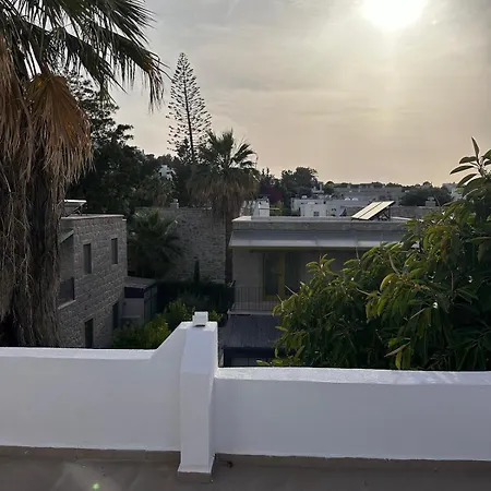 Villa Merkez De Muestakil Ev